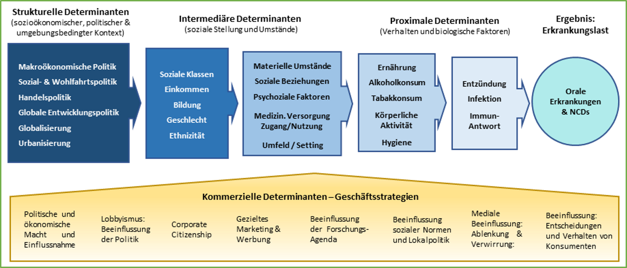 Abb. 1: Determinanten der Mundgesundheit (nach Peres et al. 2019) Abb. 1: Determinanten der Mundgesundheit (nach Peres et al. 2019)