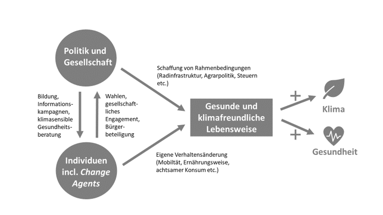 Abb. 2: Zusammenspiel von Individuen sowie Politik und Gesellschaft im Hinblick auf gesundheitsförderliche und klimafreundliche Lebensweisen (eigene Darstellung) Abb. 2: Zusammenspiel von Individuen sowie Politik und Gesellschaft im Hinblick auf gesundheitsförderliche und klimafreundliche Lebensweisen (eigene Darstellung)