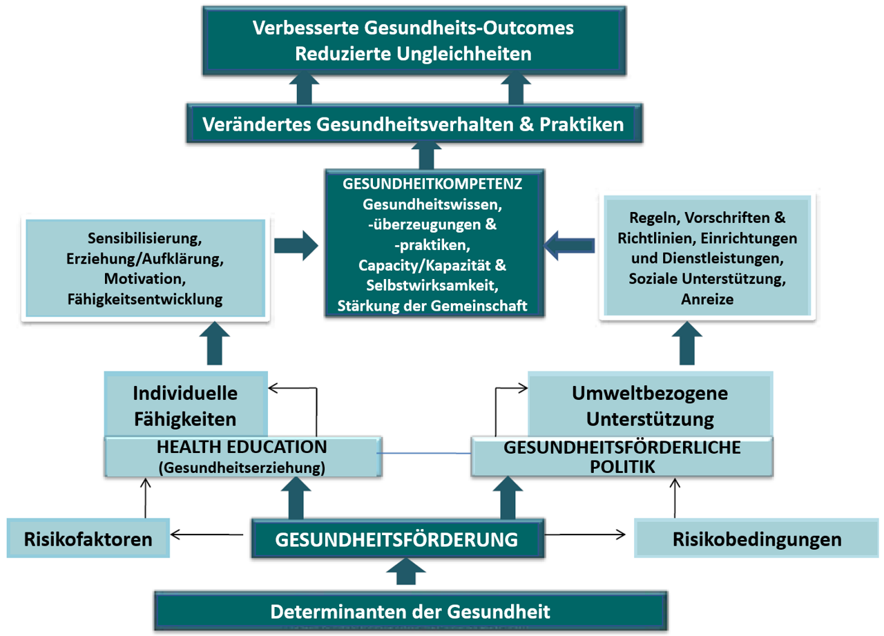 Organigramm: Beziehung zwischen den zentralen Gesundheitskonzepten