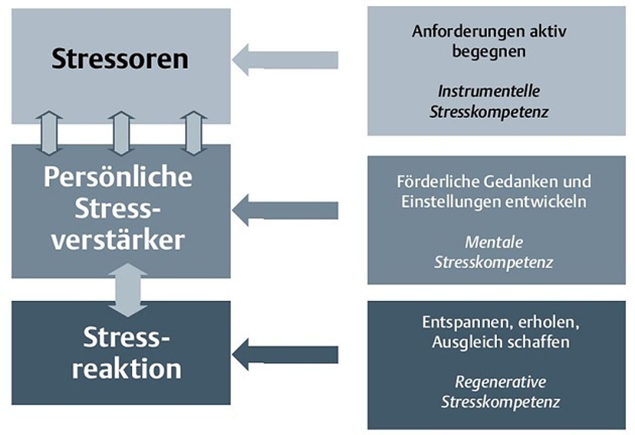 Abb. 4: Hauptwege des individuellen Stressmanagements (angelehnt an: Kaluza 2018, S. 63) Abb. 4: Hauptwege des individuellen Stressmanagements (angelehnt an: Kaluza 2018, S. 63)
