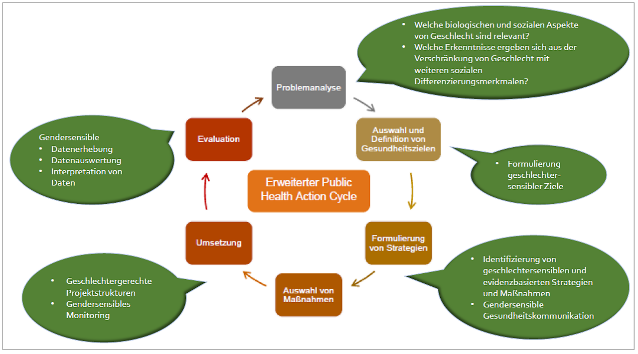 Abb. 2: Gendersensibler Public Health Action Cycle (eigene Darstellung) Abb. 2: Gendersensibler Public Health Action Cycle (eigene Darstellung)