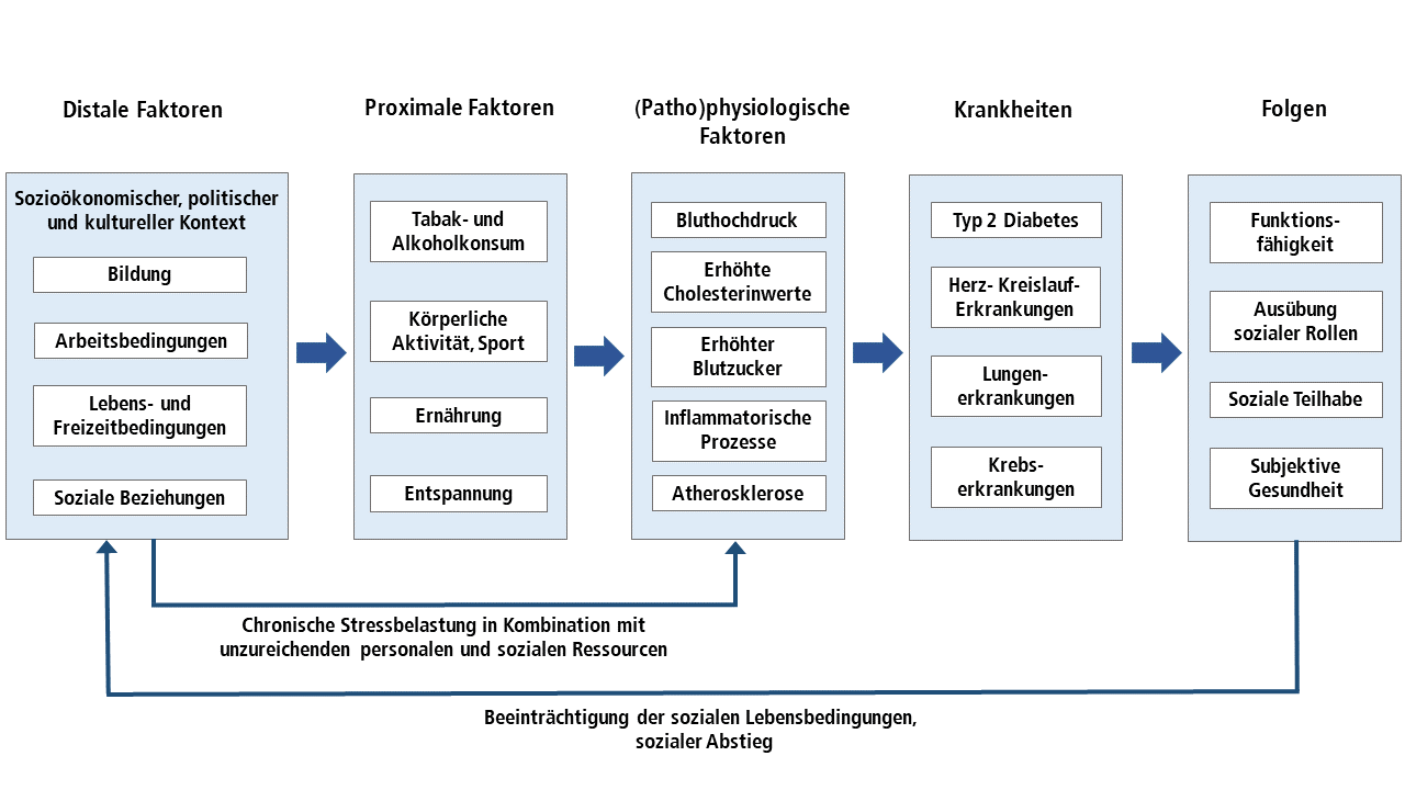 Abb. 1: Kausalketten der Krankheitsentstehung (eigene Darstellung in Anlehnung an WHO 2002; Parrish 2010) Abb. 1: Kausalketten der Krankheitsentstehung (eigene Darstellung in Anlehnung an WHO 2002; Parrish 2010)